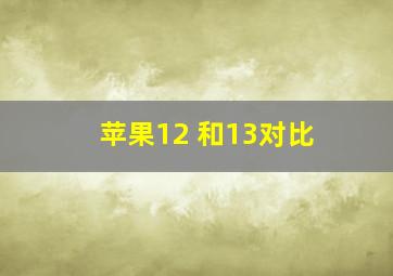 苹果12 和13对比